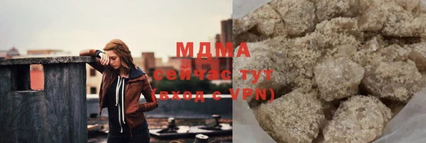индика Зеленодольск