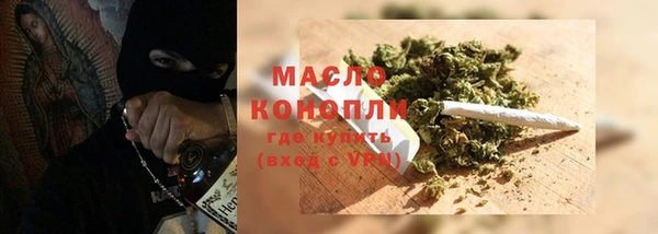 индика Зеленодольск