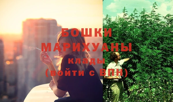 индика Зеленодольск