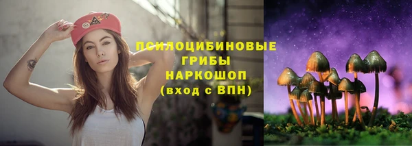 гидра Зеленокумск