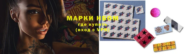 крисы Зерноград