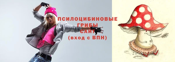 крисы Зерноград