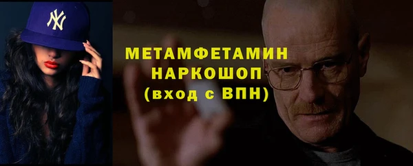 индика Зеленодольск