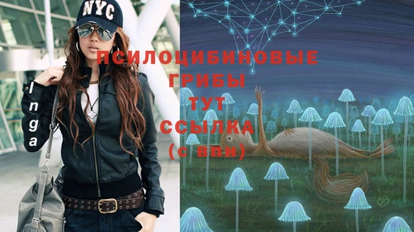 гидра Зеленокумск