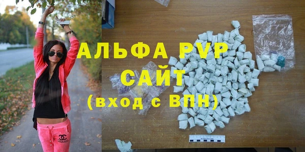 индика Зеленодольск