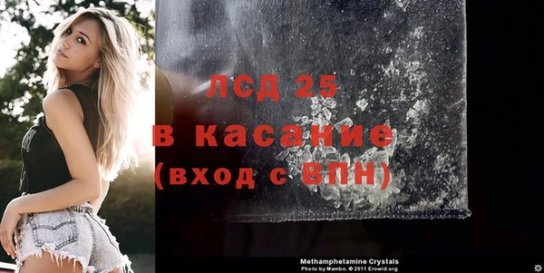 крисы Зерноград