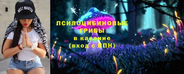 крисы Зерноград