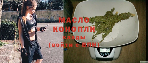 индика Зеленодольск