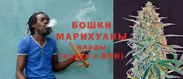 индика Зеленодольск
