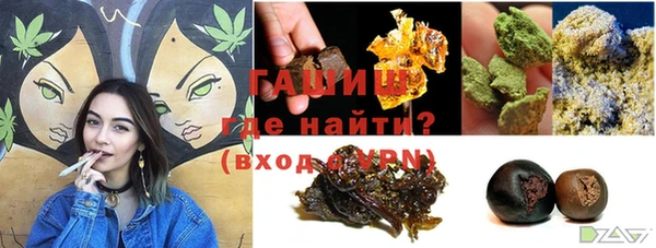 индика Зеленодольск