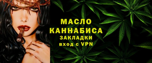 индика Зеленодольск
