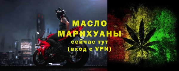 индика Зеленодольск